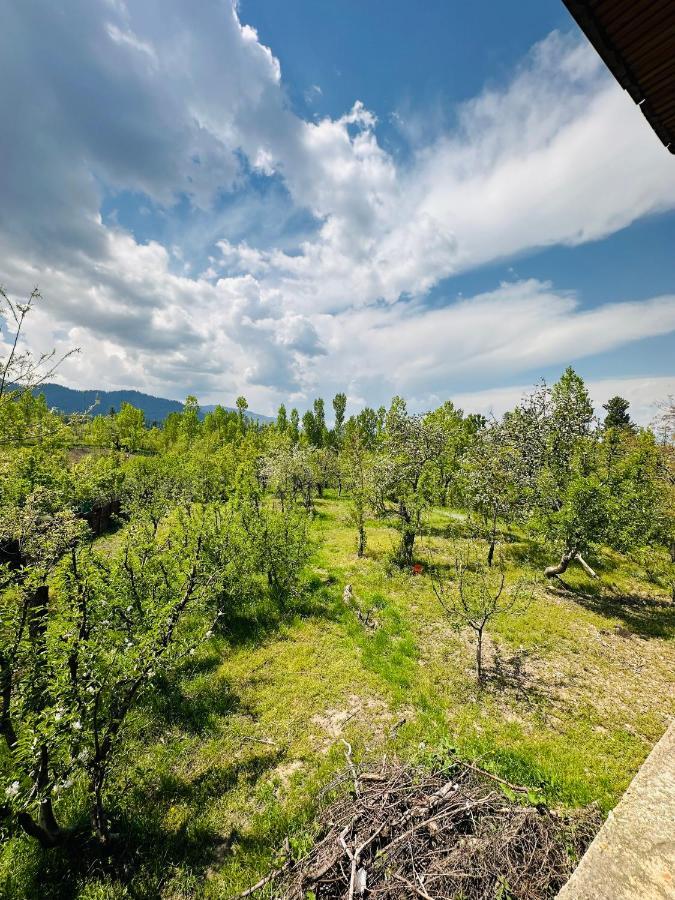 Sheen Homestay Gulmarg Extérieur photo