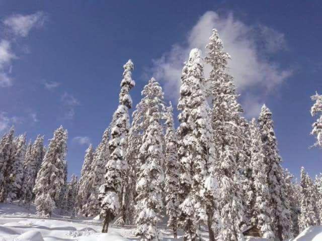 Sheen Homestay Gulmarg Extérieur photo